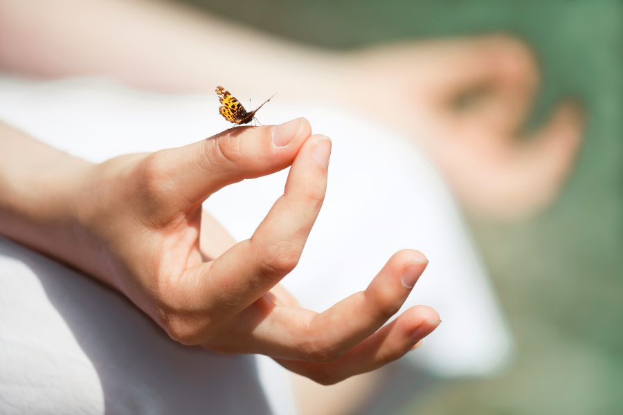 A person holding a butterfly